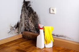 Best Commercial Mold Inspection  in Whitmire, SC